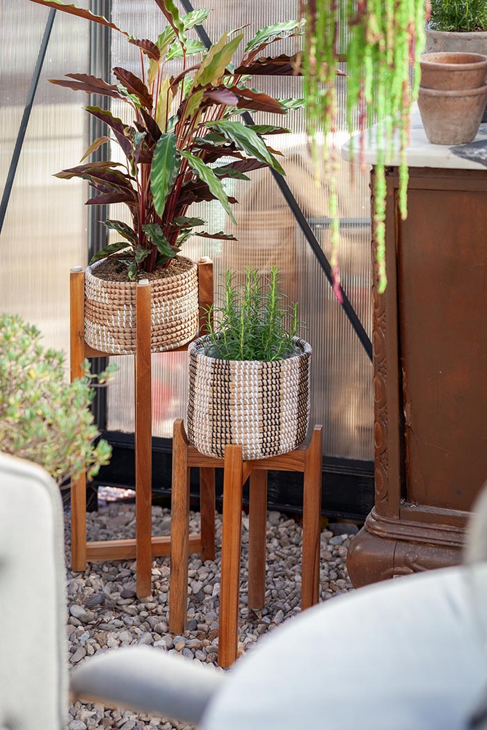 Maceteros con Patas para tus plantas | OFELIA Home & Decor